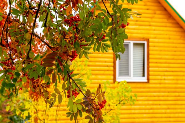 Cost of Garden Window Replacement in Deland